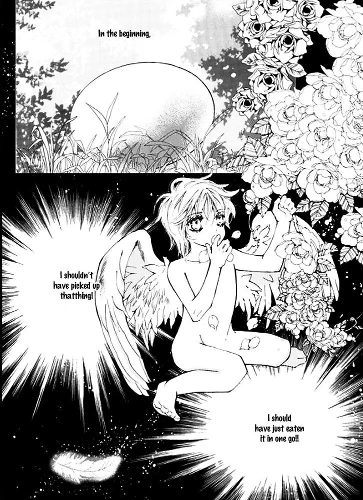 Devil's Bride (KIM Sae Young) Chapter 27 page 25 - Chapter 27