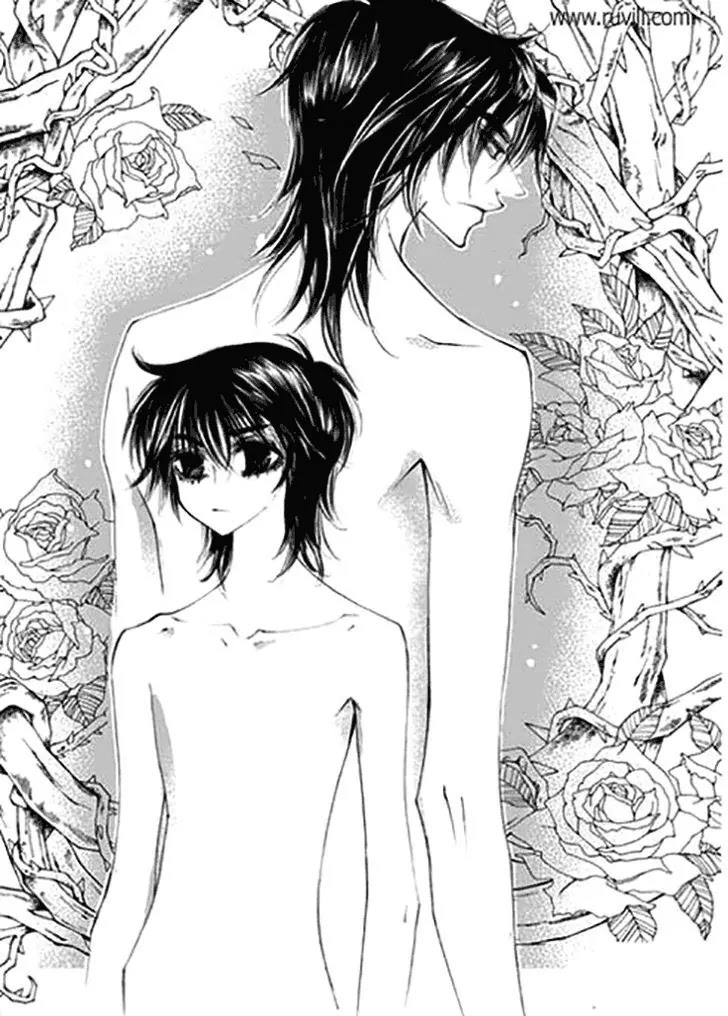 Devil's Bride (KIM Sae Young) Chapter 31 page 5 - Chapter 31