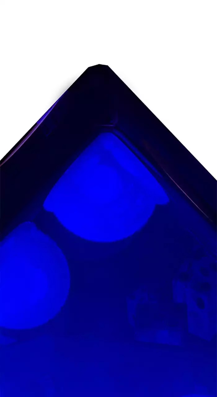 DICE: The Cube that Changes Everything Chapter 228 page 19 - Chapter 228: Pandemonium (2)