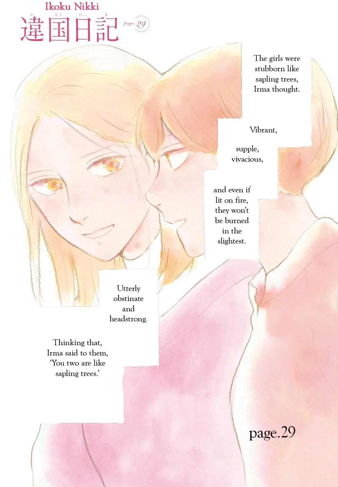 Different Country Diary Chapter 29 page 3 - Chapter 29: page.29