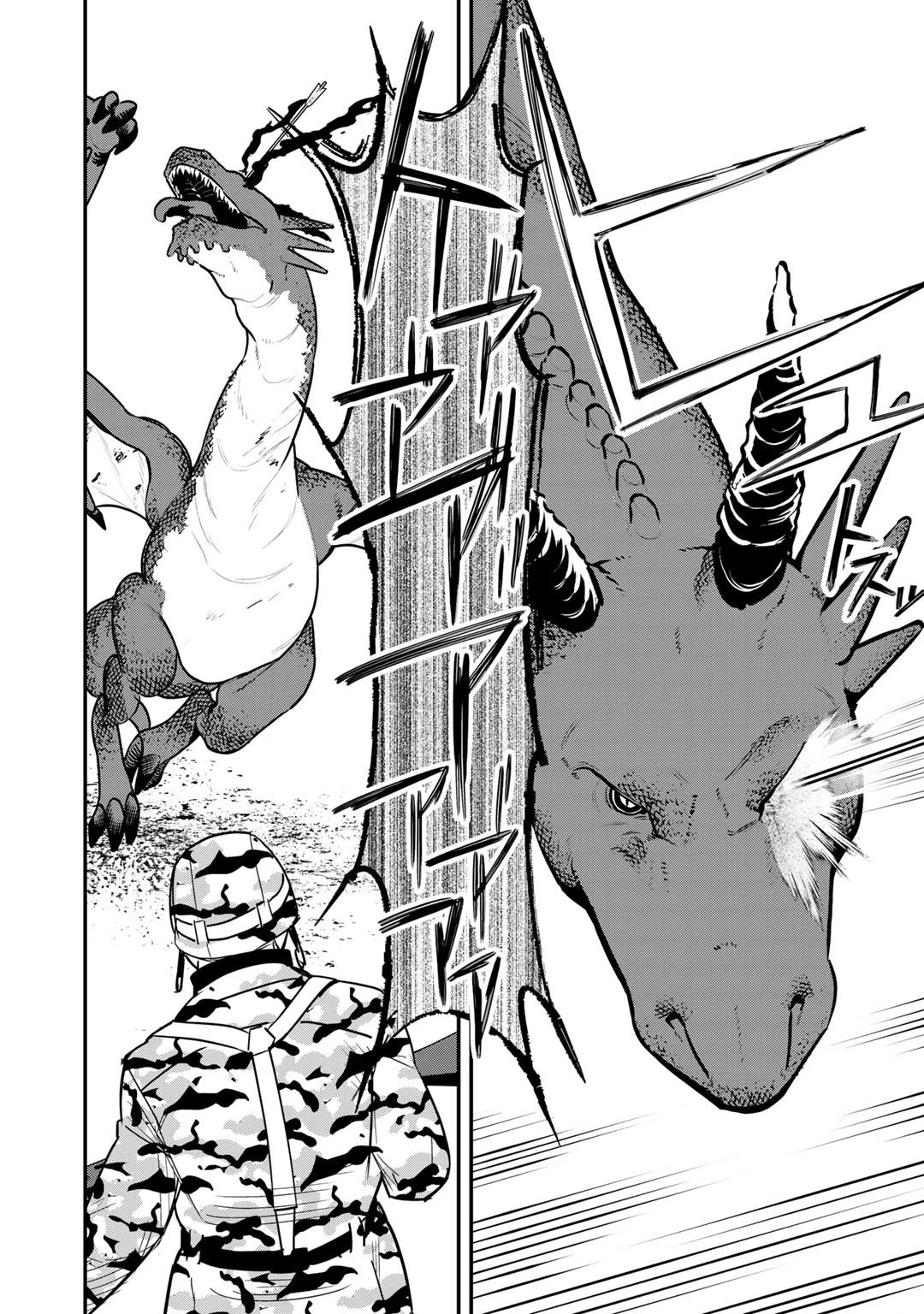 Different World Adventures Of A Lone Japan Ground Self Defense Force Ensign Chapter 6 page 19 - Chapter 6: Wyvern Invasion