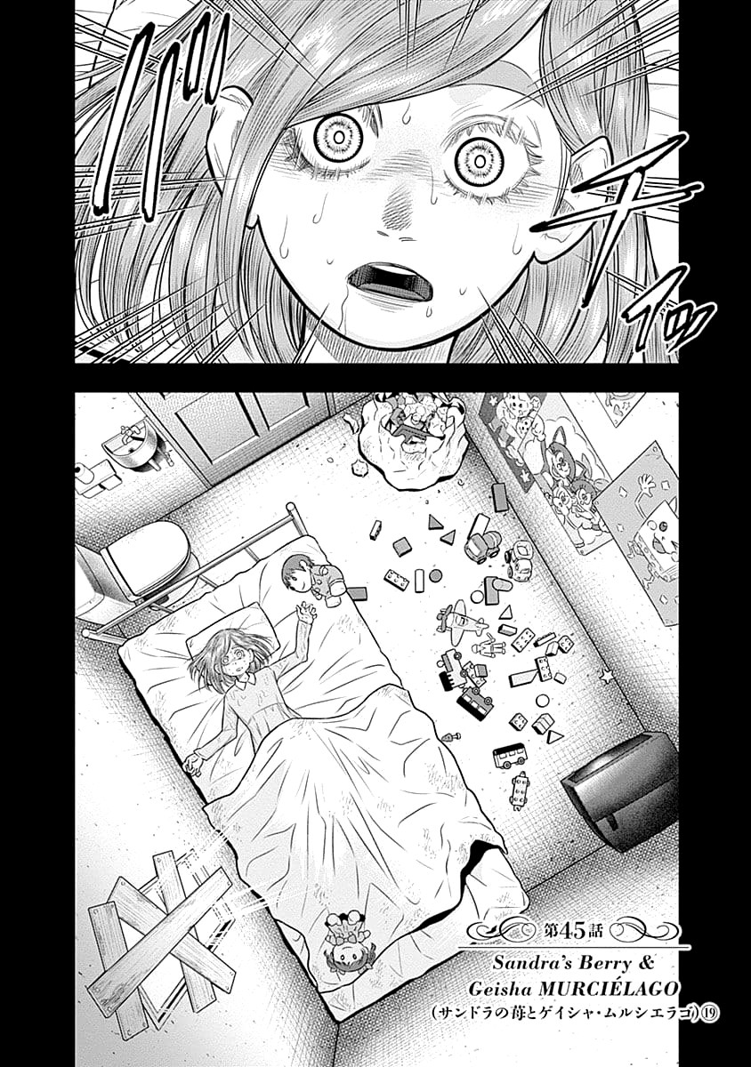 DINER Chapter 45 page 3 - Chapter 45: Sandra's Berry & Geisha MURCIÉLAGO 19