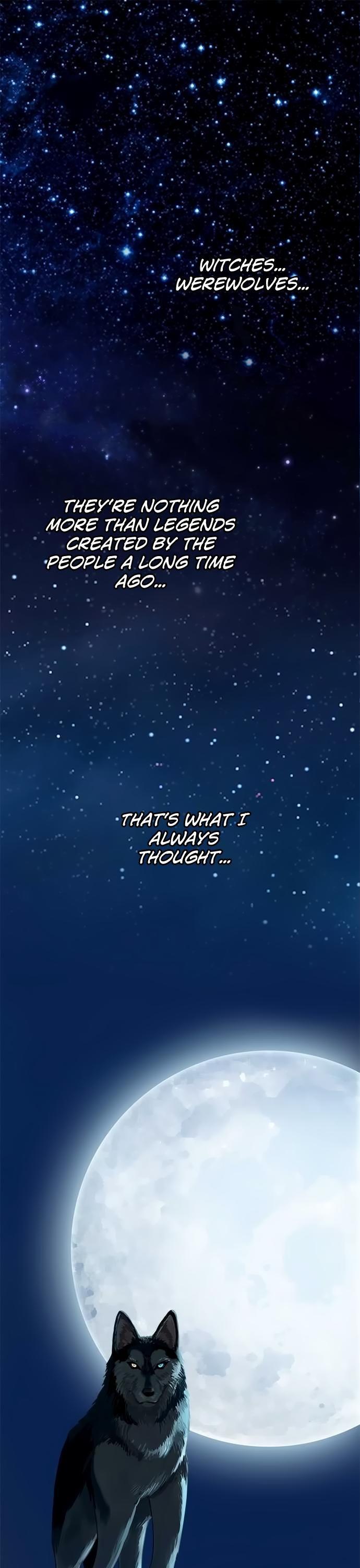 Distancia ~ The Untouchable One ~ Chapter 1 page 1 - Chapter 1 : The Witch and the Wolf