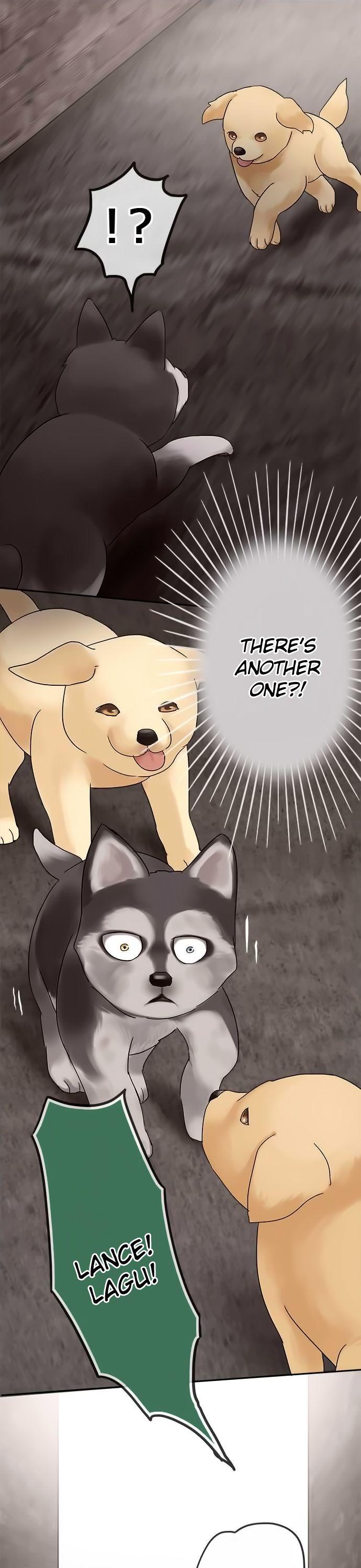 Distancia ~ The Untouchable One ~ Chapter 28 page 8 - Chapter 28 : Night's Past ?