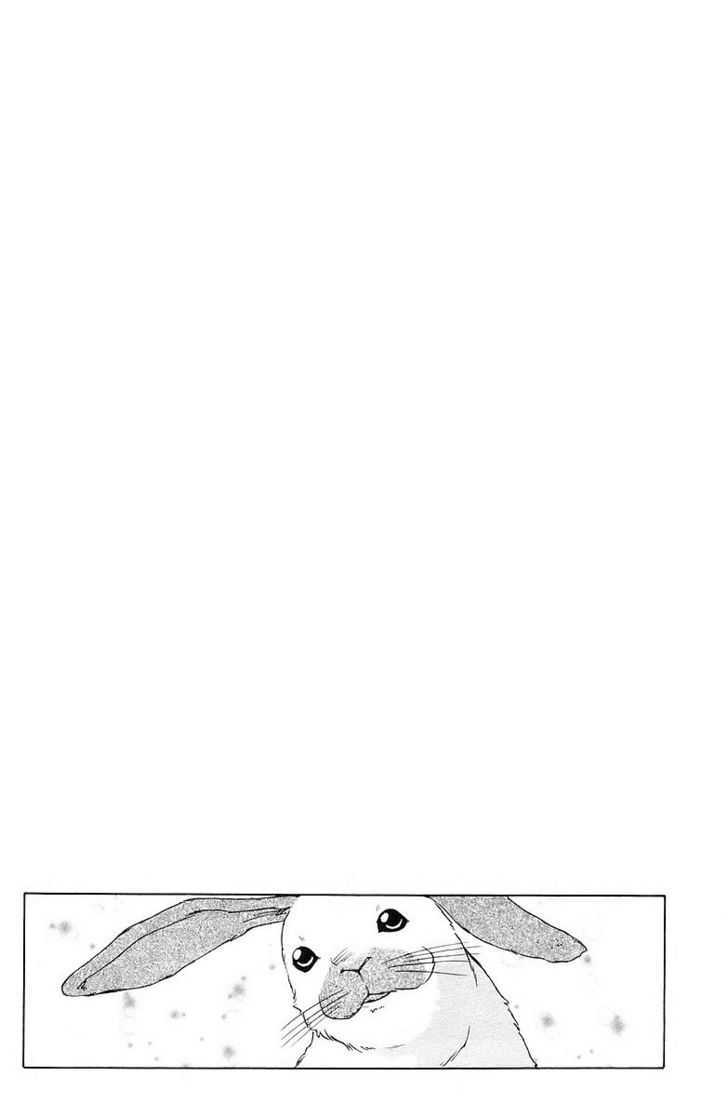 Do Suru!? Paradise Chapter 0 page 45 - Chapter 0 : Rabbits in Love