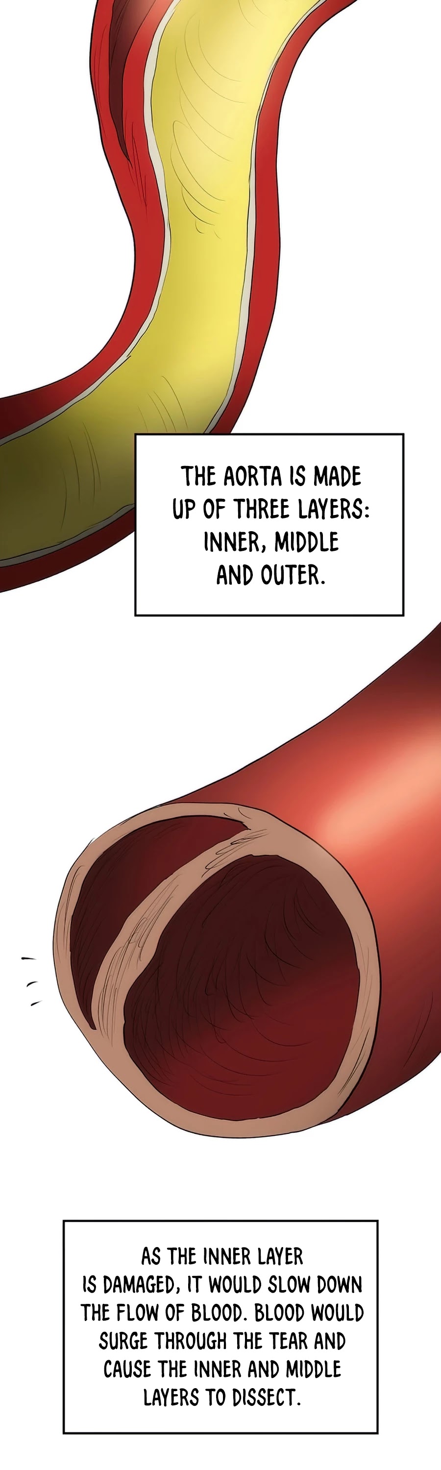 Doctor’s Rebirth Chapter 58 page 43 - Chapter 58