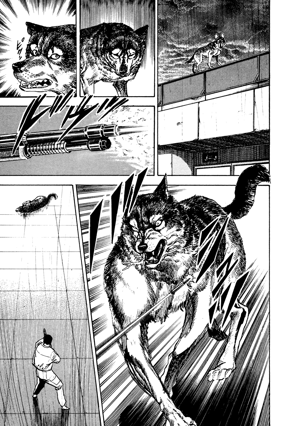 Dog Soldier Chapter 14 page 33 - Chapter 14: Elegy of Beasts