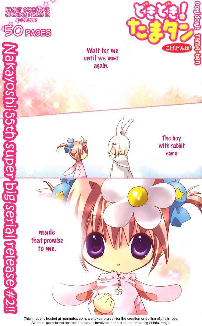 Dokidoki! Tama-tan Chapter 1 page 3 - Chapter 1