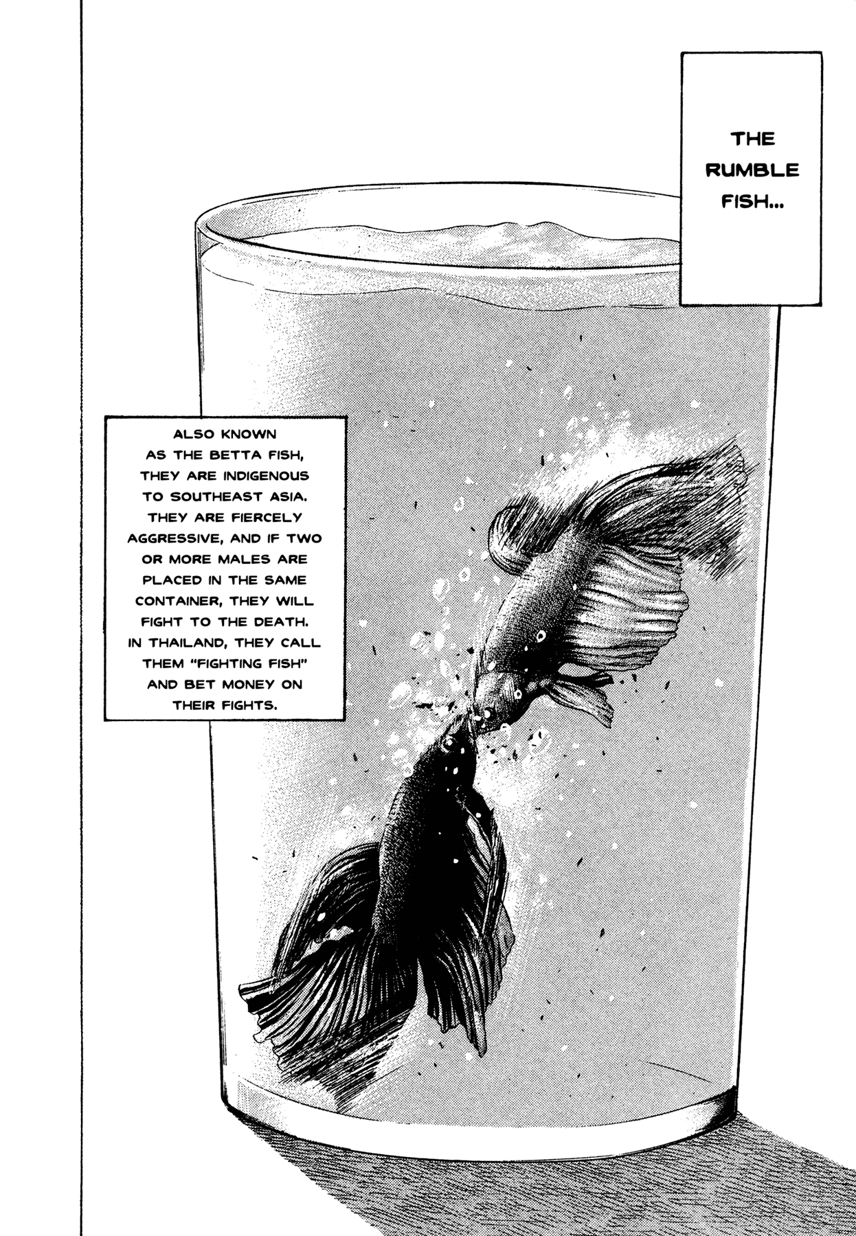 Dokuro Chapter 18.2 page 2 - Chapter 18 v2 : Rumble Fish