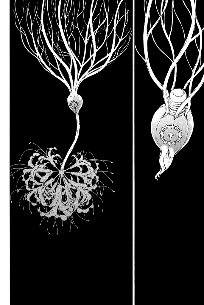 Doll's Folklore Chapter 13 page 33 - Chapter 13: Altered Wish