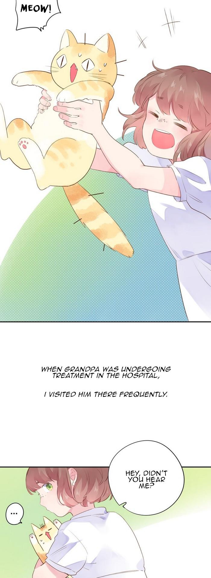 DOLO's Destiny Pill Chapter 37 page 61 - Chapter 37