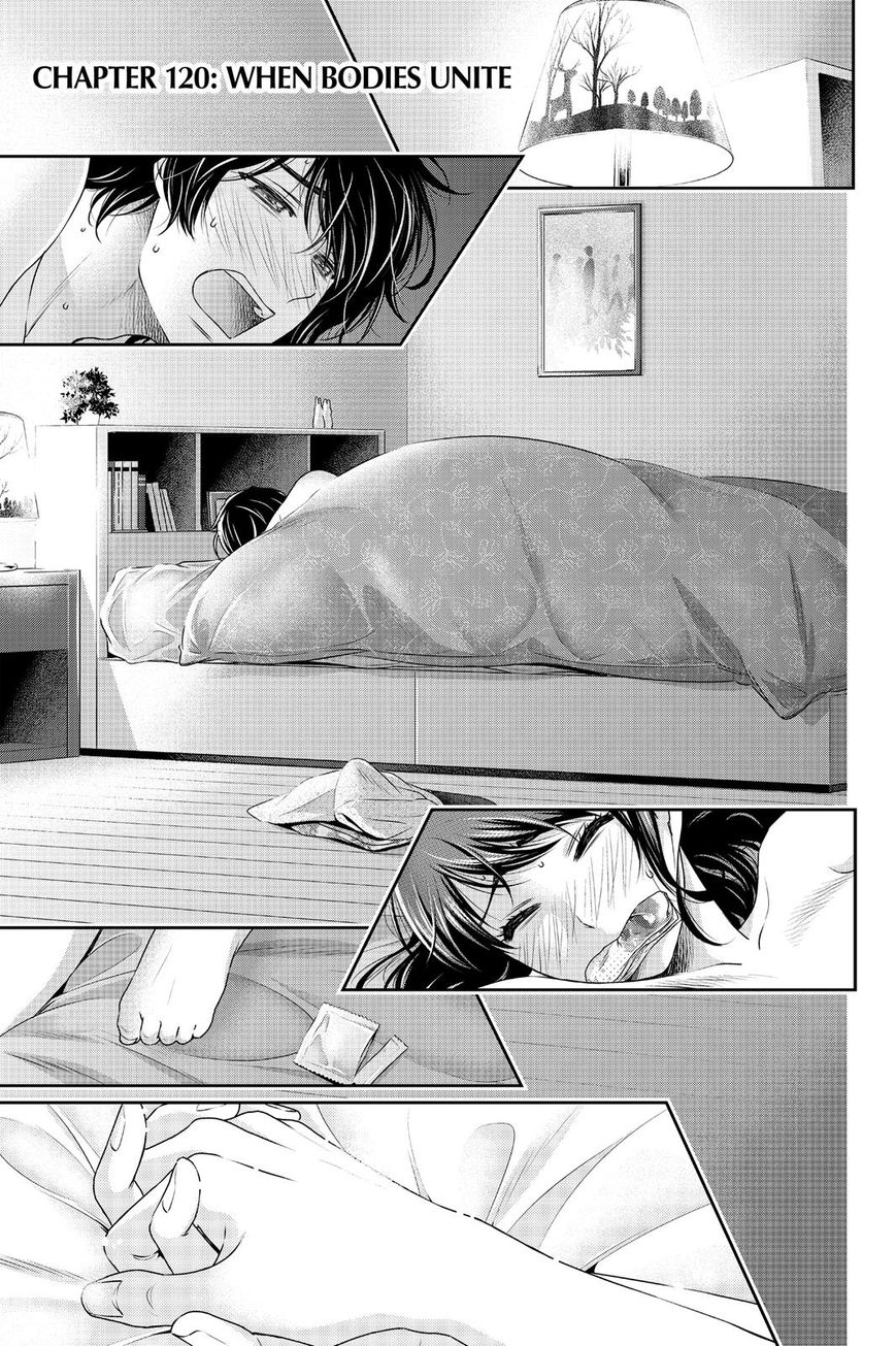 Domestic na Kanojo Chapter 120 page 1 - Chapter 120 : When Bodies Unite