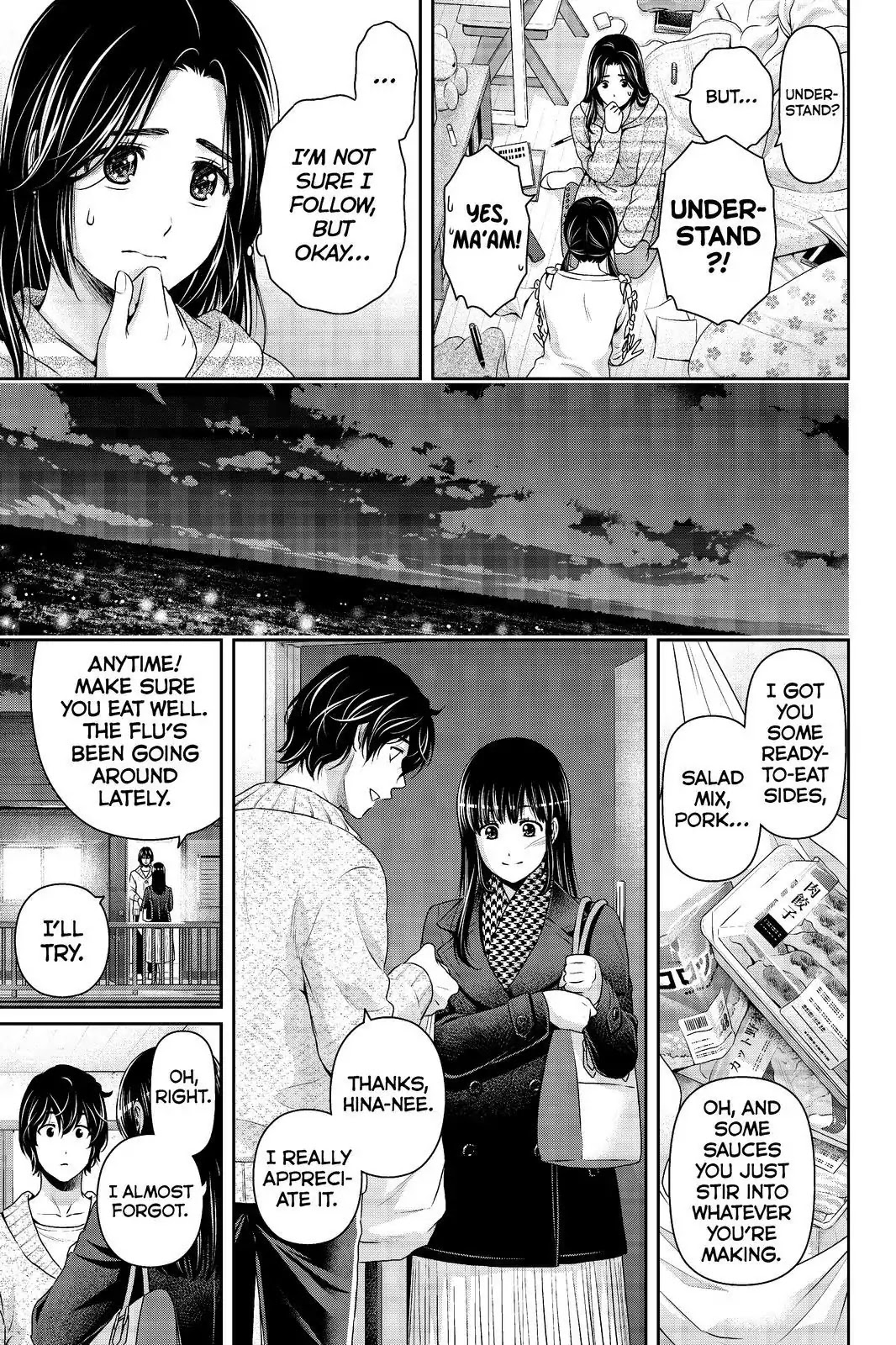 Domestic na Kanojo Chapter 208 page 9 - Chapter 208: Worth The Risk