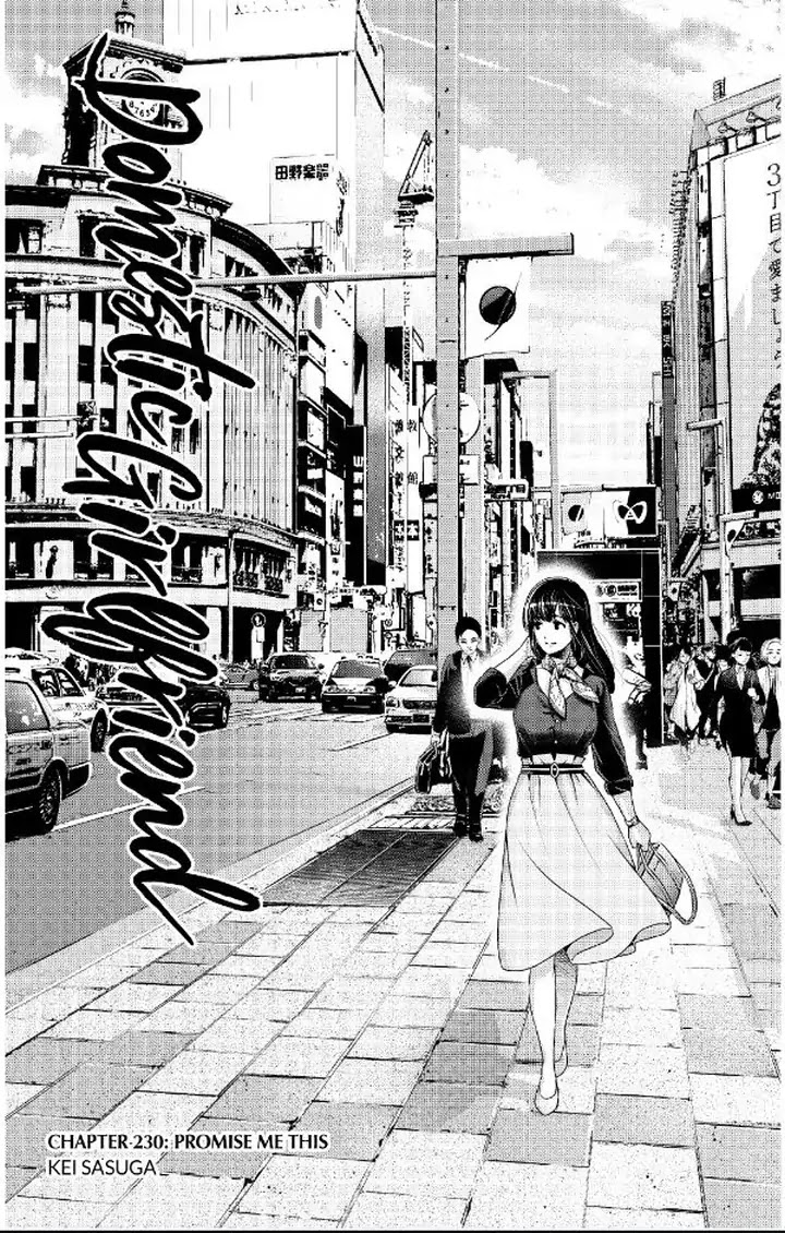 Domestic na Kanojo Chapter 230 page 2 - Chapter 230: Promise Me This