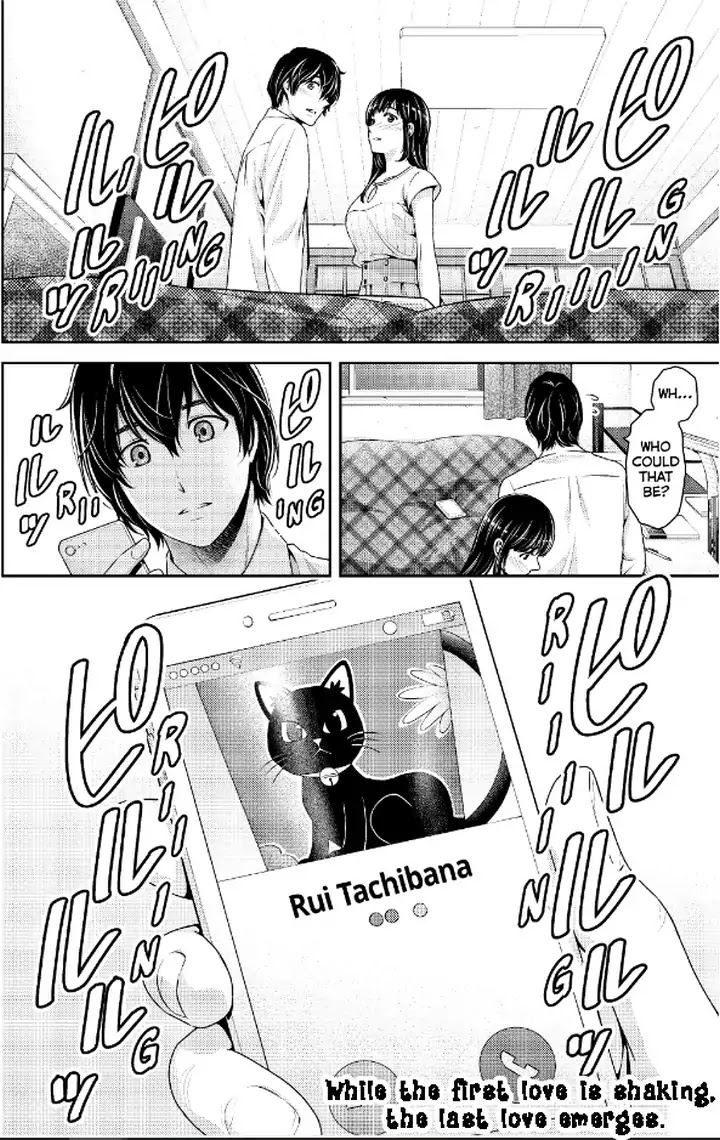 Domestic na Kanojo Chapter 237 page 19 - Chapter 237: At Least By His Side