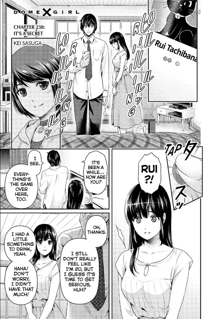 Domestic na Kanojo Chapter 238 page 2 - Chapter 238: It's A Secret