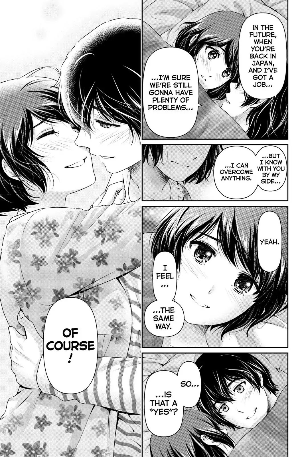 Domestic na Kanojo Chapter 252 page 17 - Chapter 252: To Be By Your Side