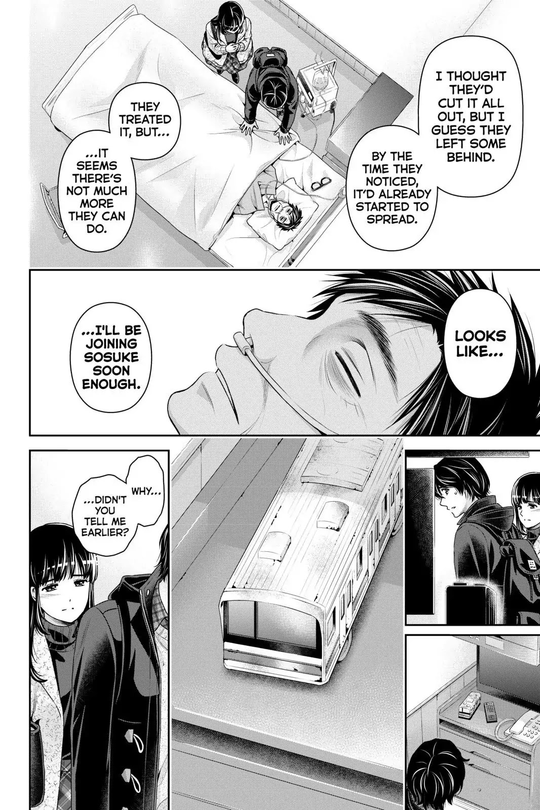 Domestic na Kanojo Chapter 254 page 2 - Chapter 254: The Final Dedication