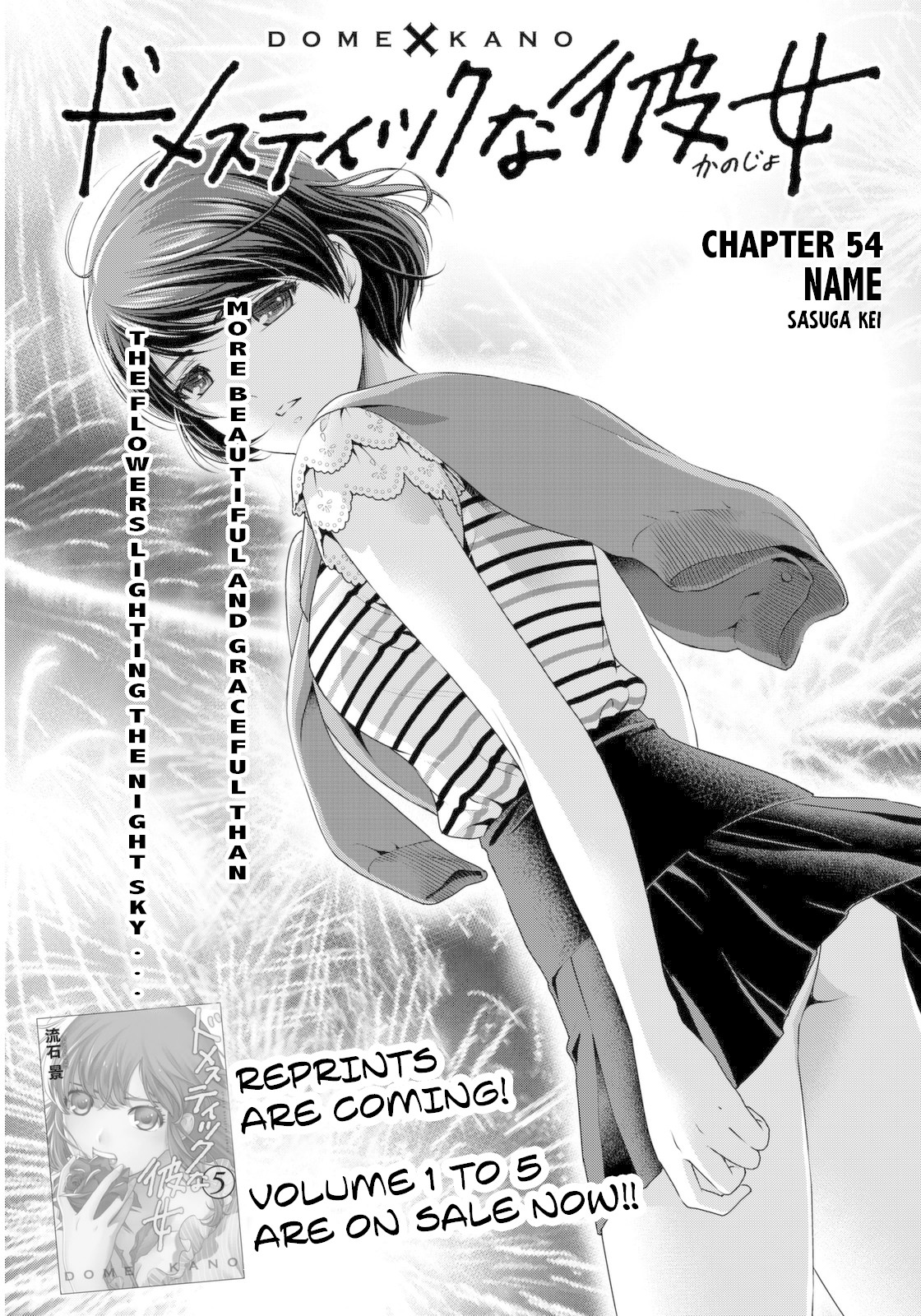 Domestic na Kanojo Chapter 54 page 1 - Chapter 54: Name