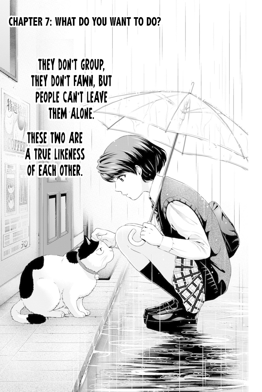 Domestic na Kanojo Chapter 7 page 1 - Chapter 7: What do you want to do