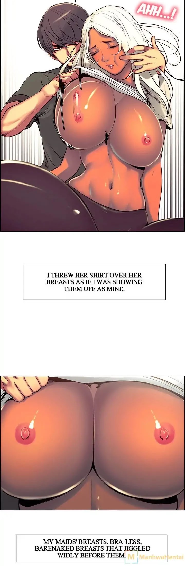 Domesticate the Housekeeper Chapter 11 page 12 - Chapter 11