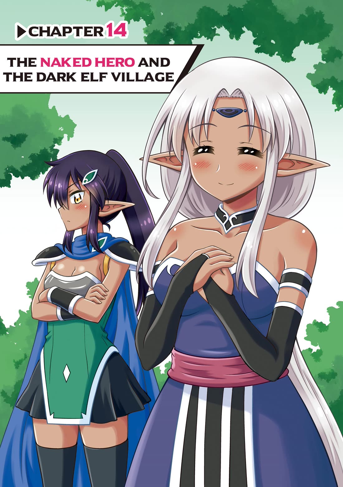 Don't Call Me a Naked Hero in Another World Chapter 14 page 1 - Chapter 14: The Naked Hero and the Dark Elf Village