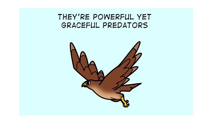 Doodle for Food Chapter 106 page 3 - Chapter 106 : Hawk