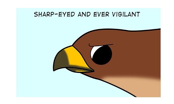 Doodle for Food Chapter 106 page 4 - Chapter 106 : Hawk