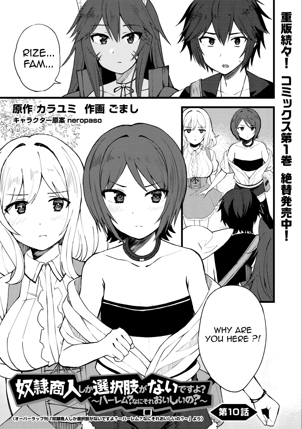 Dorei Shounin Shika Sentakushi Ga Nai desu Yo? ~Harem? Nani sore oishii no?~ Chapter 10 page 2 - Chapter 10