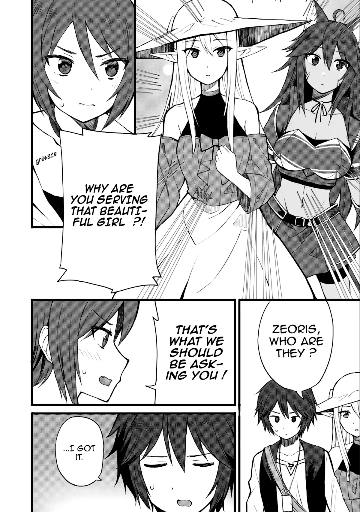 Dorei Shounin Shika Sentakushi Ga Nai desu Yo? ~Harem? Nani sore oishii no?~ Chapter 10 page 5 - Chapter 10