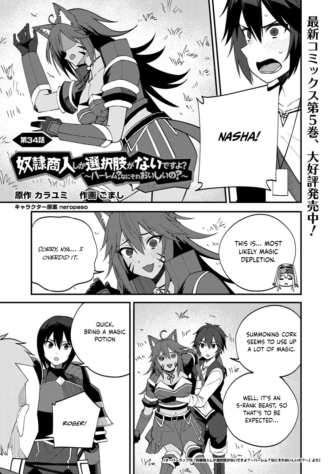 Dorei Shounin Shika Sentakushi Ga Nai desu Yo? ~Harem? Nani sore oishii no?~ Chapter 34 page 2 - Chapter 34