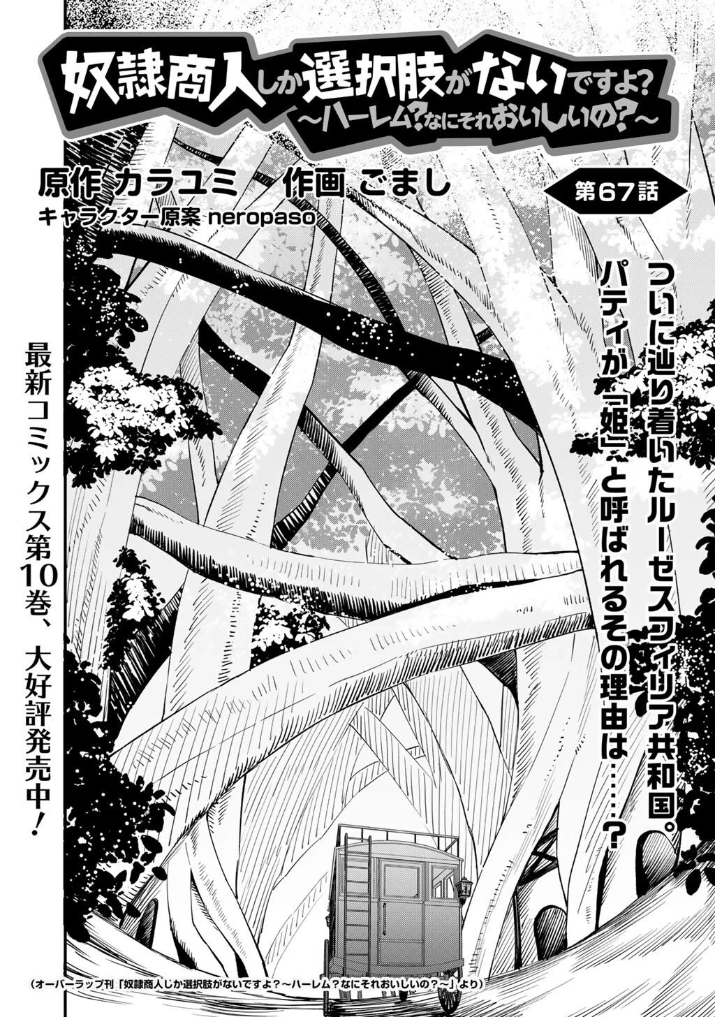 Dorei Shounin Shika Sentakushi Ga Nai desu Yo? ~Harem? Nani sore oishii no?~ Chapter 67 page 3 - Chapter 67