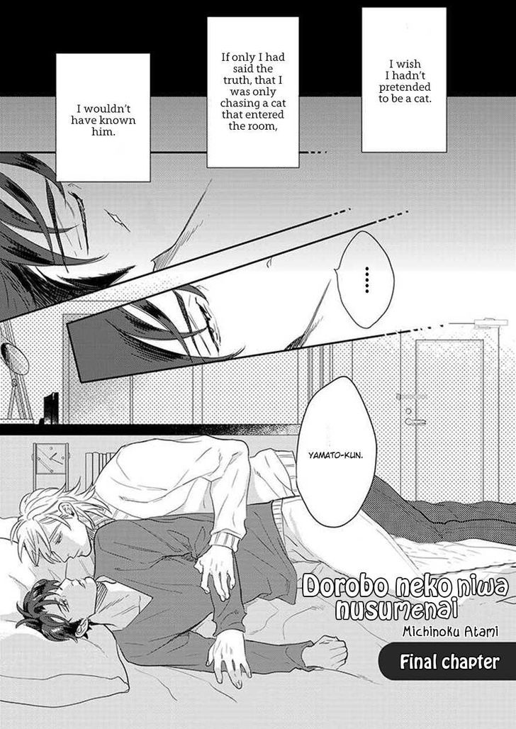 Dorobou Neko ni wa Nusumenai Chapter 3 page 2 - Chapter 3