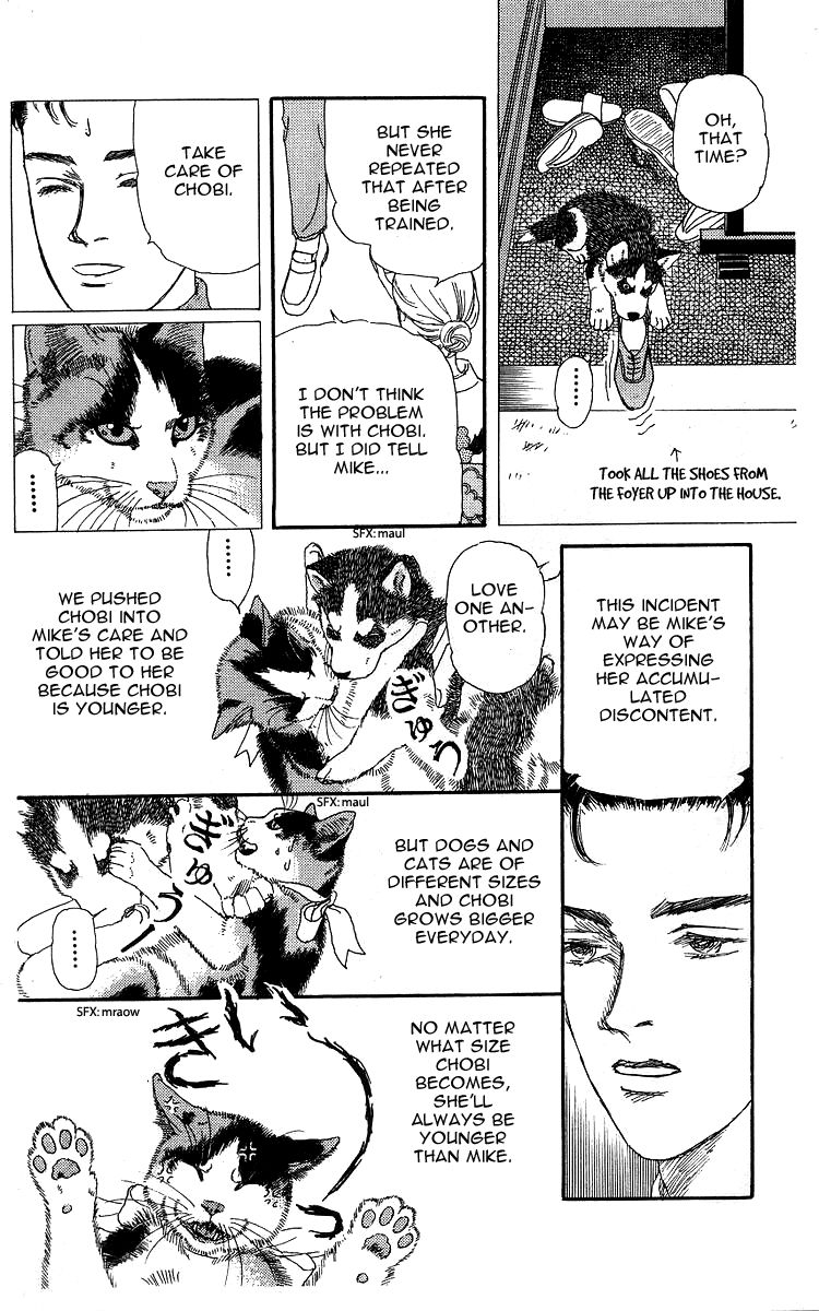 Doubutsu no Oishasan Chapter 100 page 17 - Chapter 100
