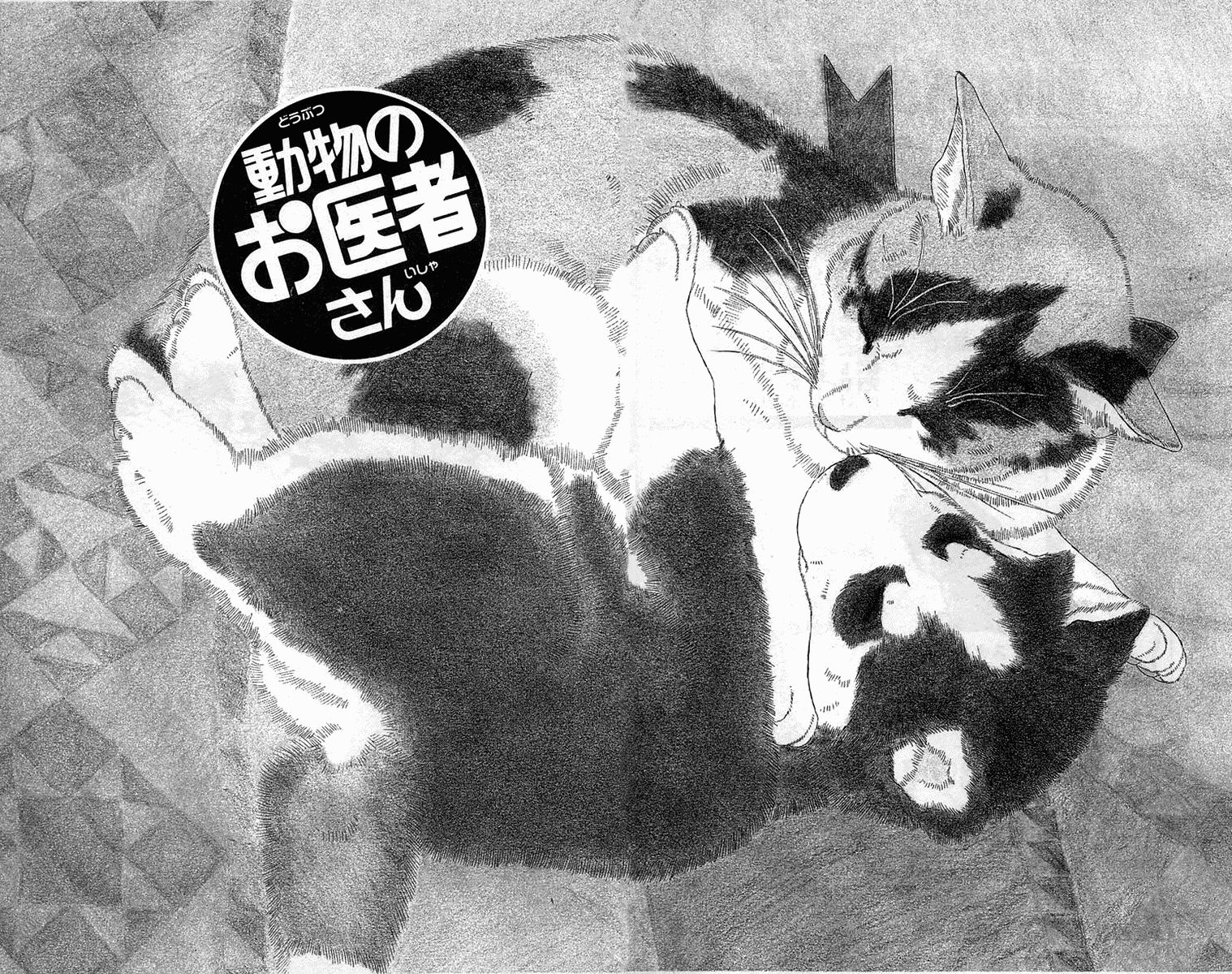 Doubutsu no Oishasan Chapter 100 page 6 - Chapter 100