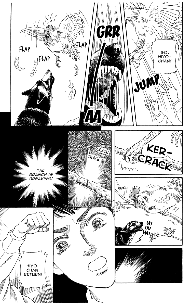 Doubutsu no Oishasan Chapter 102 page 14 - Chapter 102