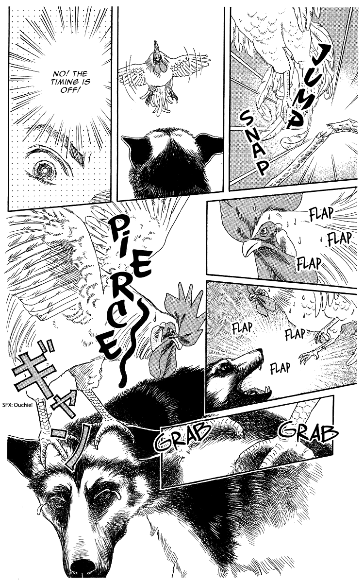 Doubutsu no Oishasan Chapter 102 page 15 - Chapter 102