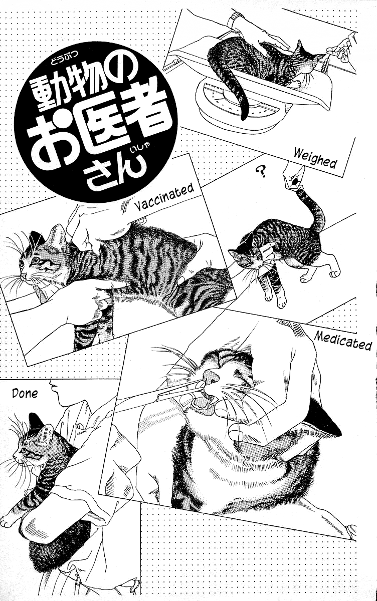 Doubutsu no Oishasan Chapter 111 page 1 - Chapter 111