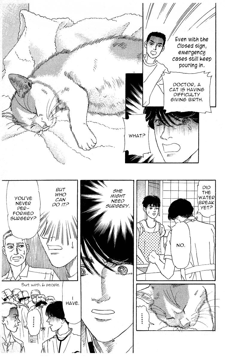 Doubutsu no Oishasan Chapter 111 page 11 - Chapter 111