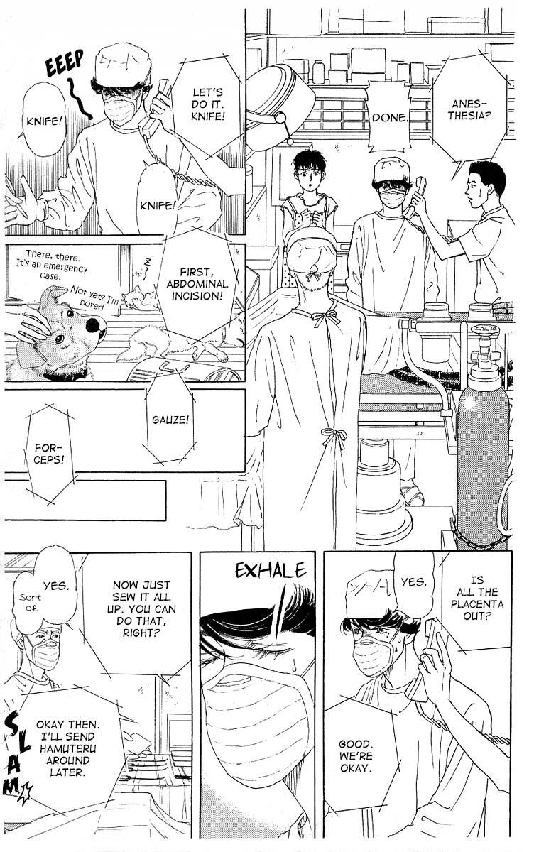 Doubutsu no Oishasan Chapter 111 page 13 - Chapter 111