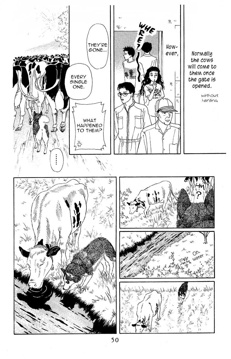 Doubutsu no Oishasan Chapter 112 page 10 - Chapter 112