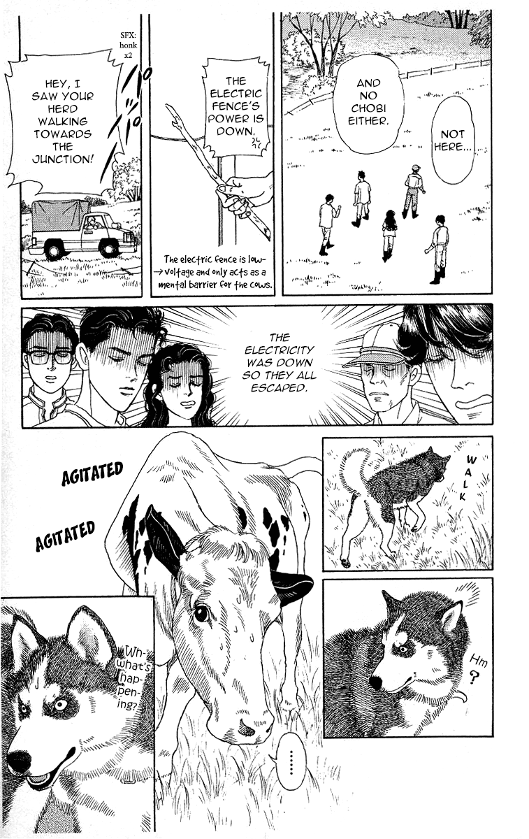 Doubutsu no Oishasan Chapter 112 page 11 - Chapter 112