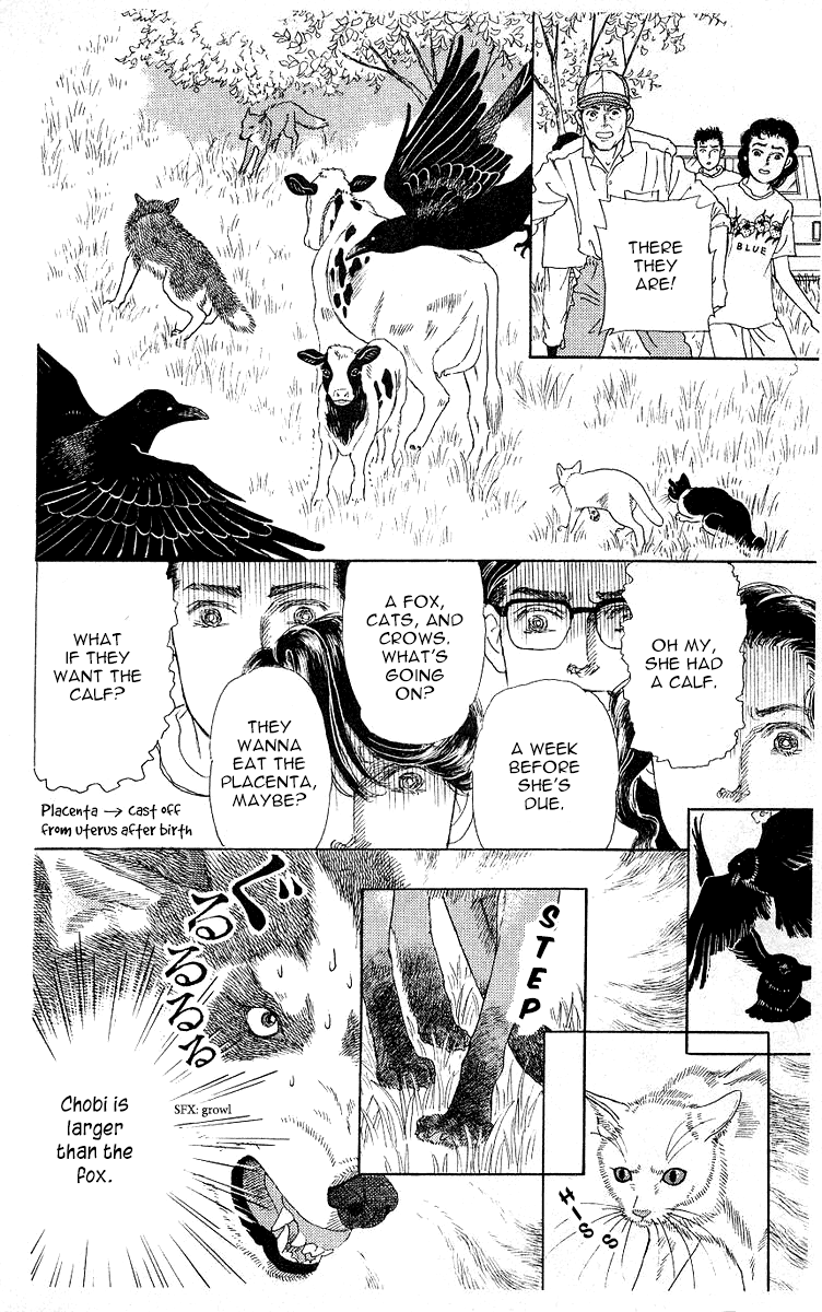 Doubutsu no Oishasan Chapter 112 page 16 - Chapter 112