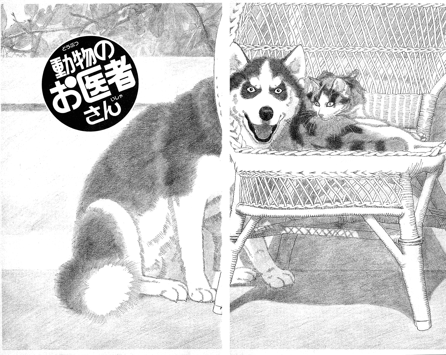 Doubutsu no Oishasan Chapter 113 page 2 - Chapter 113