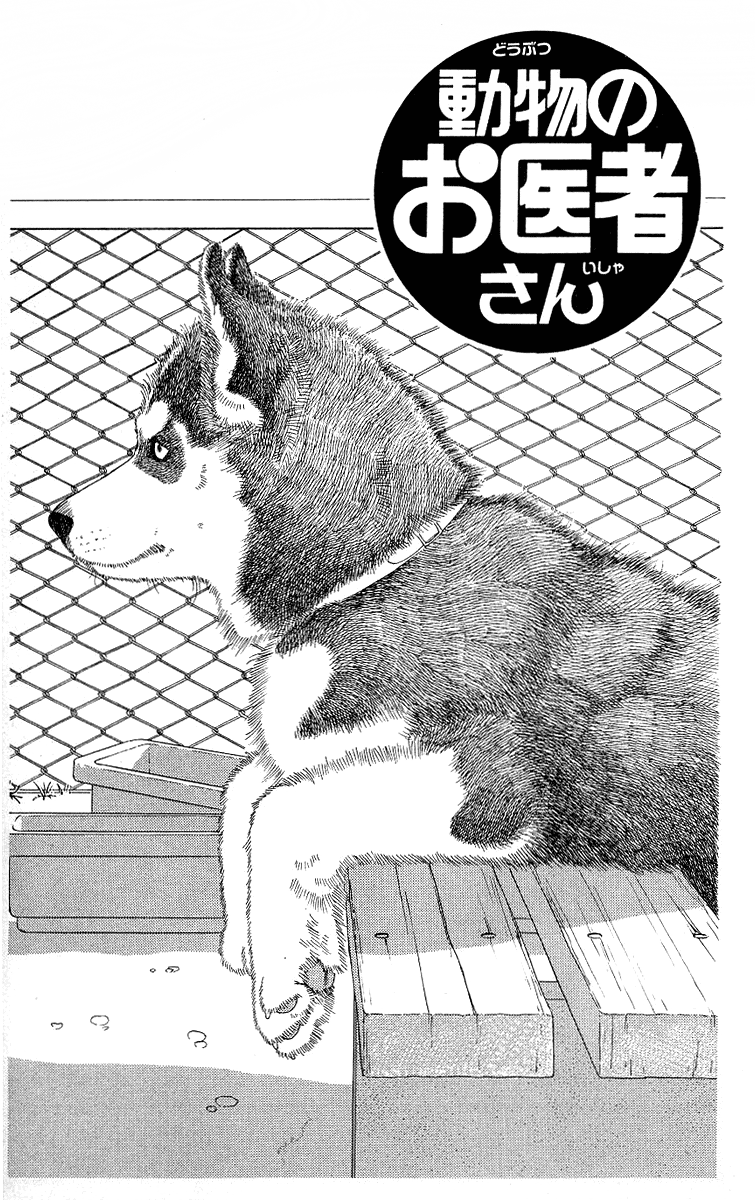 Doubutsu no Oishasan Chapter 115 page 1 - Chapter 115