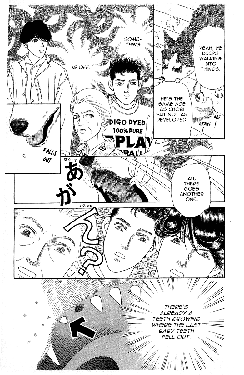 Doubutsu no Oishasan Chapter 115 page 13 - Chapter 115
