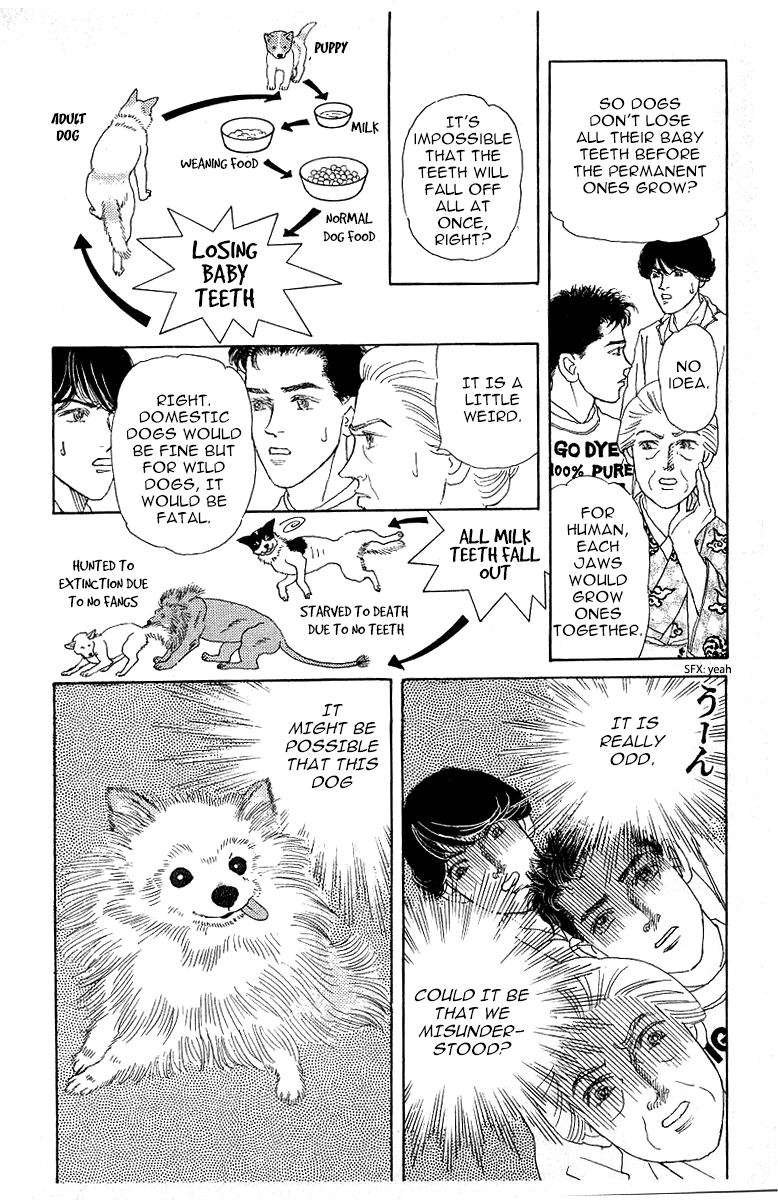 Doubutsu no Oishasan Chapter 115 page 14 - Chapter 115
