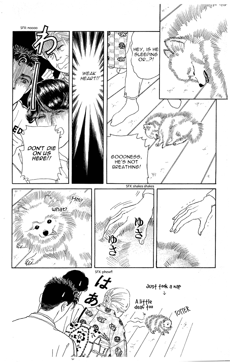 Doubutsu no Oishasan Chapter 115 page 16 - Chapter 115