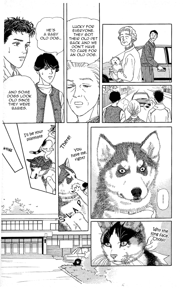Doubutsu no Oishasan Chapter 115 page 17 - Chapter 115