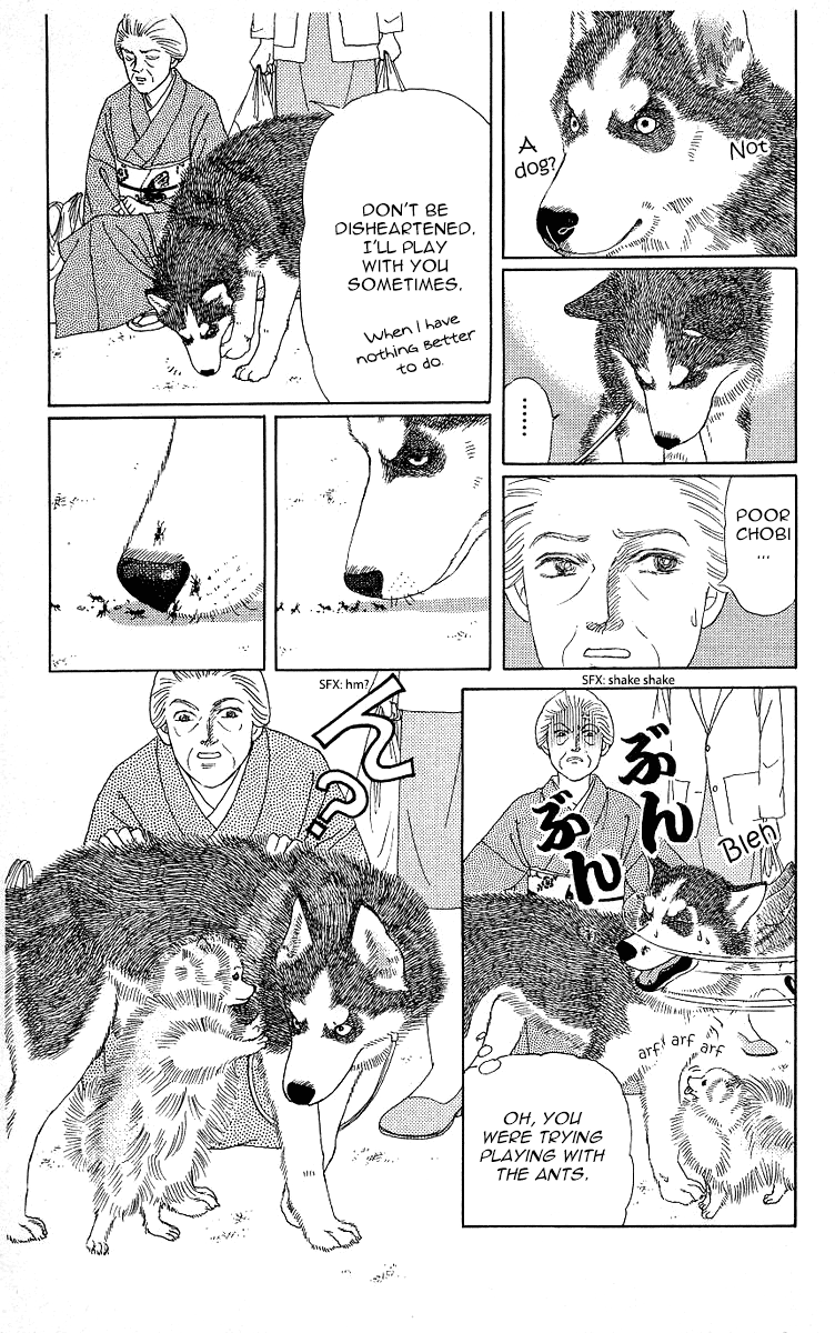 Doubutsu no Oishasan Chapter 115 page 5 - Chapter 115